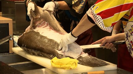 脂が濃厚ですごく美味しかった」幻の高級魚 “クエ” の解体ショー 体長