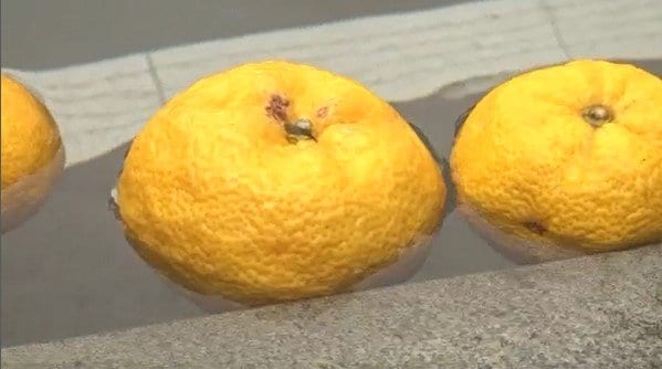 「さわやかな香り」きょうは冬至　各地の入浴施設で「ゆず湯」　入浴客が楽しむ　長野・安曇野市　|　SBC NEWS | 長野のニュース | SBC信越放送