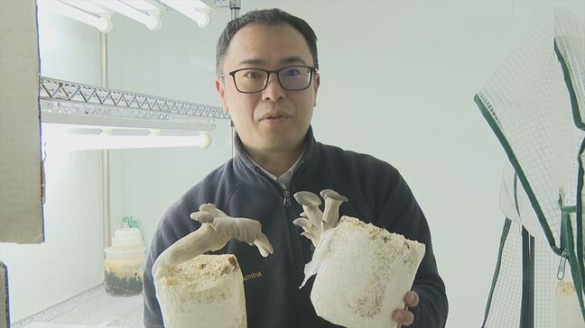 「おすすめはバター醤油で炒める」　キノコでSDGs　生ごみなどからキノコ栽培を研究　山梨大学と中央市　|TBS NEWS DIG