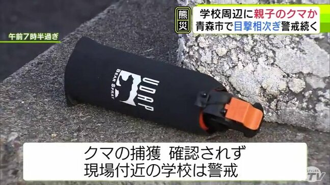 小学校の敷地内には「クマ」とみられる足跡も…　親子とみられる2頭のクマの目撃情報から一夜も　青森市原別でまたも目撃情報　周辺の学校はいずれも授業に影響なしも警戒続く【熊災】|TBS NEWS DIG
