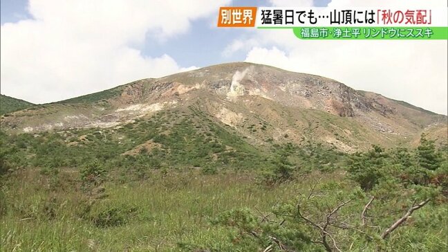 「風があってスースーと…」猛暑日の福島市、浄土平は別世界 植物が秋の訪れ告げる|TBS NEWS DIG