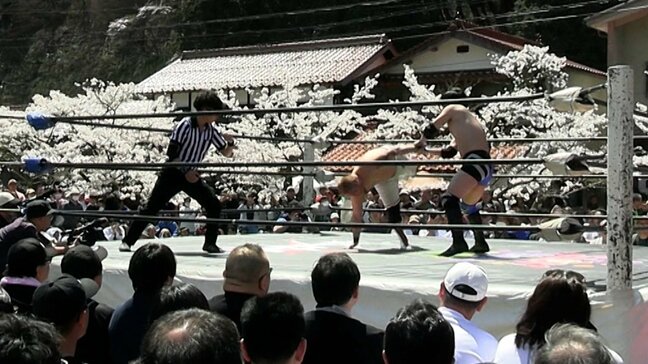 サクラ満開の村で「がいせん桜プロレス」開催　“恩返しをしたい” 村で暮らすプロレスラー夫婦の思い「そとから来た人間に優しく教えてくれた…」【岡山】|TBS NEWS DIG