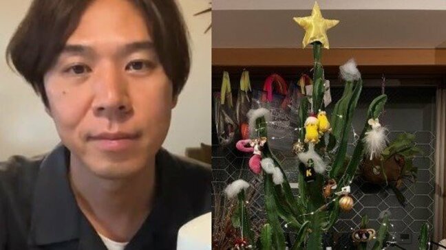 【コカドケンタロウ】Xmasツリーは「恒例のサボテンツリー」リビングに暮らすサボテンを毎年飾り付け|TBS NEWS DIG