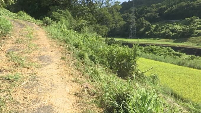 軽トラックがあぜ道から横転　男性が車の下敷きになり死亡　捜していた息子が発見|TBS NEWS DIG