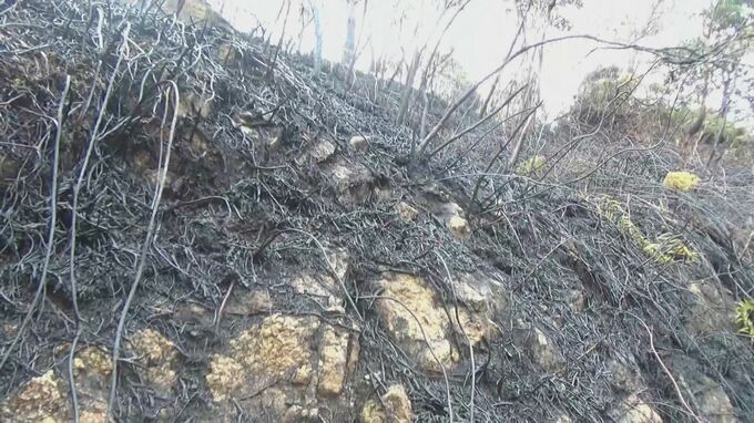 「再燃のおそれなし」7日発生の長崎県五島市の山火事　鎮火発表　五島市消防局　|　長崎のニュース | 天気 | NBC長崎放送