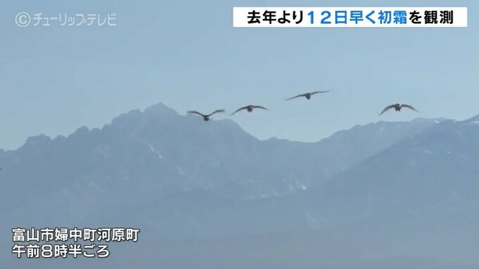 白鳥と立山連峰の絶景！去年より12日早く「初霜」観測でひろがる晴天　富山|TBS NEWS DIG