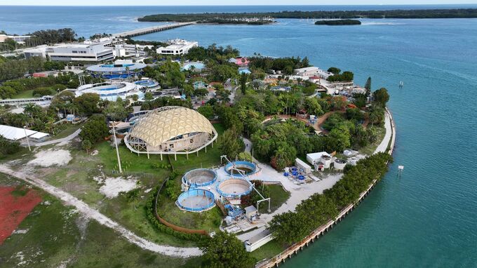 「イルカ売ります」、破産した米水族館パーク会社－飼育の継続難しく