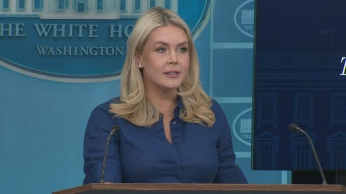 「レバノンでの戦闘停止は停戦合意に含まれない」レビット報道官が明言