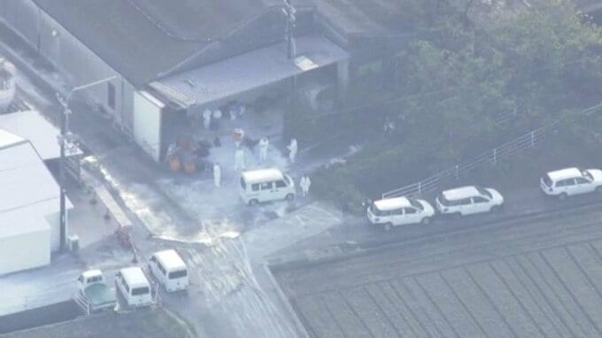 全国で今季13例目　愛媛・西条市で鳥インフル発生　約24万羽殺処分へ　|　愛媛のニュース - Nスタえひめ｜あいテレビは6チャンネル