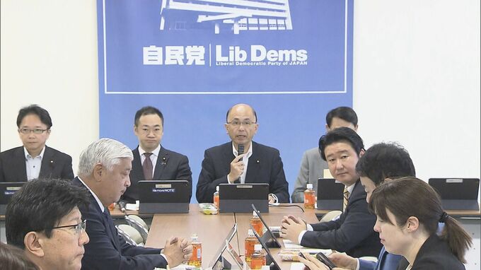 【速報】政治資金規正法改正へ　自民・総務部会などで法案了承　17日にも国会に提出へ