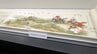 激しい合戦の絵に込められた平和への思い　企画展「清衡と後三年合戦絵巻」　岩手・平泉町　|　IBC NEWS | IBC岩手放送