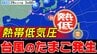 【台風のたまご】「熱帯低気圧」発生　さらに２つの「反時計回りの渦」現る【雨風シミュレーション10月10日（土）まで／全国の週間予報】「台風26号」関東の南へ|TBS NEWS DIG