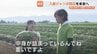 重さ30kg超え！入善ジャンボ西瓜…生産者は半世紀で4分の1に「玉数を増やしてもらえることが希望」栽培開始129年　富山・入善町　|　富山のニュース｜天気・防災｜チューリップテレビ