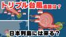 【トリプル台風発生】「台風のたまご」熱帯低気圧が「台風17号」「台風18号」「台風19号」に発達　日本列島には来る？16日間の天気シミュレーション【気象庁 台風情報・19日午後10時20分発表】|TBS NEWS DIG
