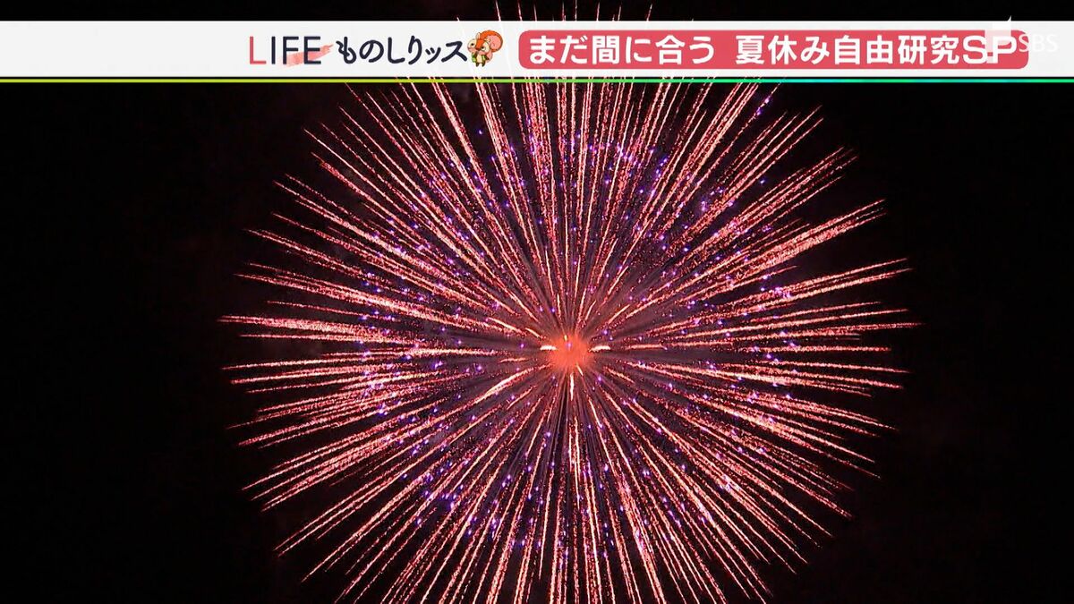 夏休みの自由研究に なぜ 花火の色はカラフルなのかを調べてみた ものしりッス Sbs News 静岡放送 静岡県内ニュース 天気