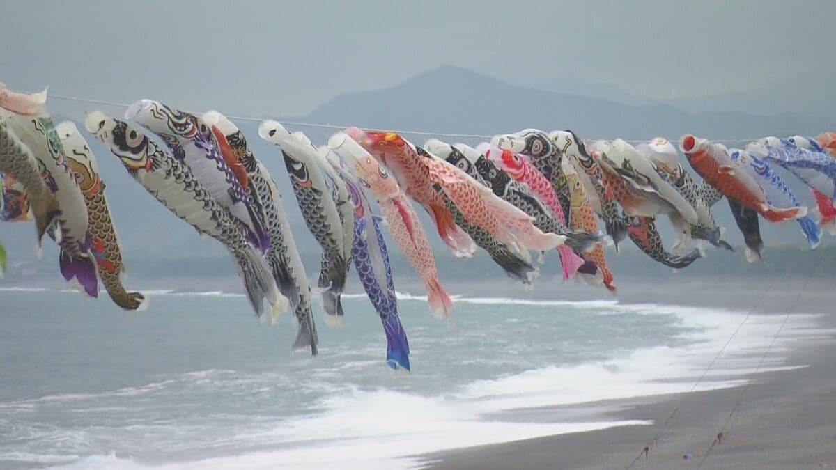 海岸沿いに250匹の“こいのぼり” ゴールデンウイークを前に地元住民らが掲げる 三重・熊野市