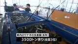 身がやわらかく くせが少ない「新仔ウナギ」 新富町の養鰻場で今季の出荷始まる | MRTニュース | MRT宮崎放送