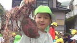 畑に園児の歓声が響き渡る 旬を迎えたサツマイモの収穫を体験 大分・別府市 | 大分のニュース|OBS NEWS|大分放送