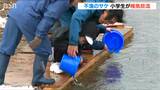 ピークの13分の1まで激減 不漁の中 児童がサケの稚魚放流「また戻ってきて約束だよ」新潟・長岡市|TBS NEWS DIG