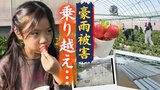 「それでもこの土地で栽培を続けたい」～豪雨被害から半年、ブランドいちご「あまおう」農家の思い　|　福岡のニュース｜RKB NEWS｜RKB毎日放送