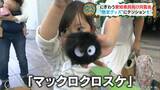 「予算は決めていません…」カシラにネコバスに飛行石…魅惑のジブリパーク限定品に大興奮 愛知県民向け内覧会5600人 | 名古屋・愛知・岐阜・三重のニュース【CBC news】 | CBC web