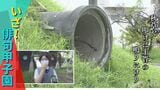 野球の次は俳句で甲子園の大舞台に 興南高校俳句部の挑戦! | 沖縄のニュース|RBC 琉球放送
