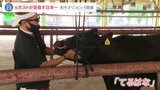 「和牛こそ我が人生」高校生も元ホストも参加…5年に1度開催の「和牛オリンピック」始まる|TBS NEWS DIG