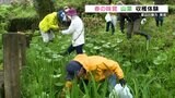「春の山は宝物の倉庫 全部が宝物」 産山村で春の味覚山菜の収穫体験 村の魅力を発信する「うぶやま未来ラボ」 | 熊本のニュース|RKK NEWS|RKK熊本放送