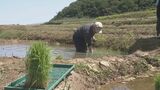 地元高校生やボランティアが被災地で田植え「本当に感謝しかない」輪島市の白米千枚田　|　石川県のニュース｜MRO北陸放送