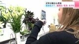近年は輸出も増加　販路拡大へ　高知の“花き”をPR　|　高知のニュース・天気｜KUTV NEWS | KUTVテレビ高知