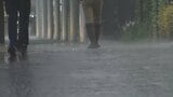 台風15号は夕方にかけ山梨県内に最接近見込み 甲府市で大雨警報、笛吹市で大雨警報と洪水警報発表 | 山梨のニュース | UTYテレビ山梨