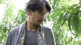 どう対処する「特定外来生物のクビアカツヤカミキリ」農家も警戒感　市議会で質問も【岡山】|TBS NEWS DIG