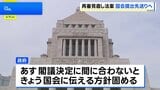 再審制度見直しの法改正案　あす（10日）の国会提出は見送る方針固める　自民党内から「抗告禁止」求める異論相次ぐ|TBS NEWS DIG
