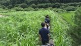 【こども未来】巨大迷路で棚田に人を呼び込む!佐久長聖高校クイズ研究会|TBS NEWS DIG