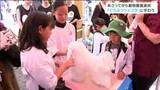 トリマーを体験したこどもは「どのぐらい切ればいいのかわからなくて」4年ぶり“どうぶつフェスタ”開催　仙台　|　宮城のニュース│tbc NEWS│tbc東北放送