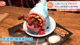 “サメ”に“ゴリラ”!?「リアルすぎる」かき氷の最新事情|TBS NEWS DIG