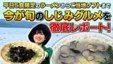 平日5食限定のラーメンからご当地ソフトまで 旬のしじみグルメを徹底レポート!東北町・小川原湖のしじみで夏を元気に|TBS NEWS DIG