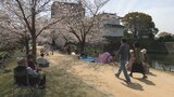 桜満開!4年ぶりに宴会の制限解除 花見客にぎわう 大分 | 大分のニュース|OBS NEWS|大分放送