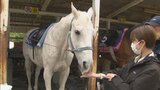 人間なら80歳…乗馬センターの老馬 頑張ってたくさん乗せました|TBS NEWS DIG