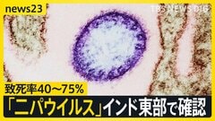 致死率40～75％「ニパウイルス」インド東部で感染者を確認　日本の外務省も注意喚起　アジア各国では対策強化の動きも【news23】| TBS CROSS DIG with Bloomberg