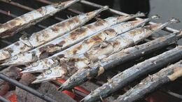 「新鮮でホクホク」　炭火焼きのサンマ8000匹を無料で振る舞う　水揚げ本州一の岩手・大船渡市で秋の味覚楽しむイベント　|　IBC NEWS | IBC岩手放送
