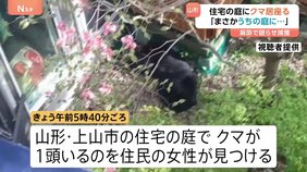 「まさかうちの家の庭に出るとは」山形・上山市でクマ出没 付近の中学校では登校を遅らせる措置も|TBS NEWS DIG