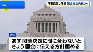 再審制度見直しの法改正案　あす（10日）の国会提出は見送る方針固める　自民党内から「抗告禁止」求める異論相次ぐ| TBS CROSS DIG with Bloomberg