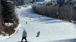 「この問題を解決しない限りスキー場の未来はない」　スキーの持続可能性に向けスキー場が再生可能エネルギーを導入| TBS CROSS DIG with Bloomberg