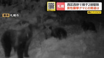 札幌市西区で捕獲した親子グマ2頭を駆除 体長は母クマ1.3m、子グマ65