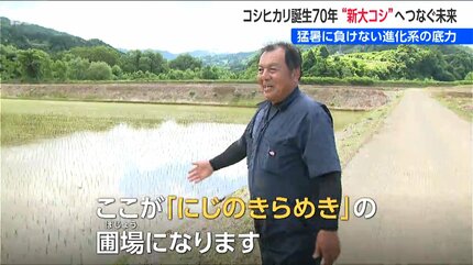 コシヒカリ誕生から70年 ”次世代”へつなぐ未来 岐路に立つ『新潟の米