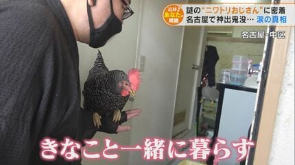名古屋で神出鬼没 街中でニワトリを散歩させる男性 涙の真相は