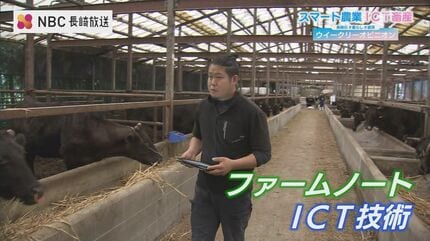 AIで栽培相談 ICTで牛の繁殖タイミングや病気を把握 ハウスの二酸化