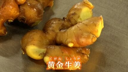 捨てられていた規格外のショウガがワインに？ 津山市の会社が