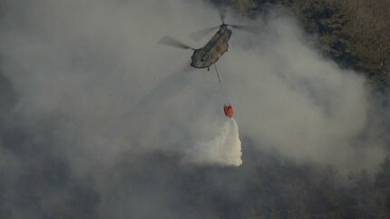 約150haを消失した大月市の山林火災 発生6日目の